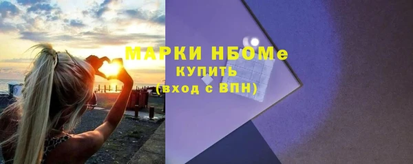 дмт Богородицк