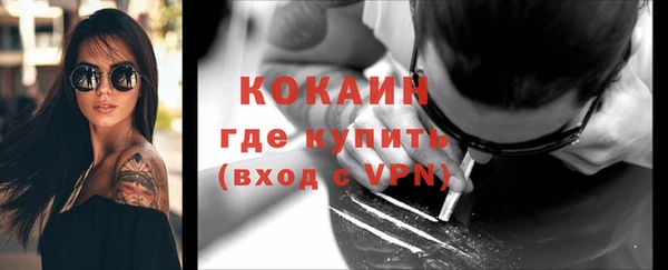 стафф Галич