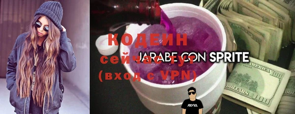стафф Галич